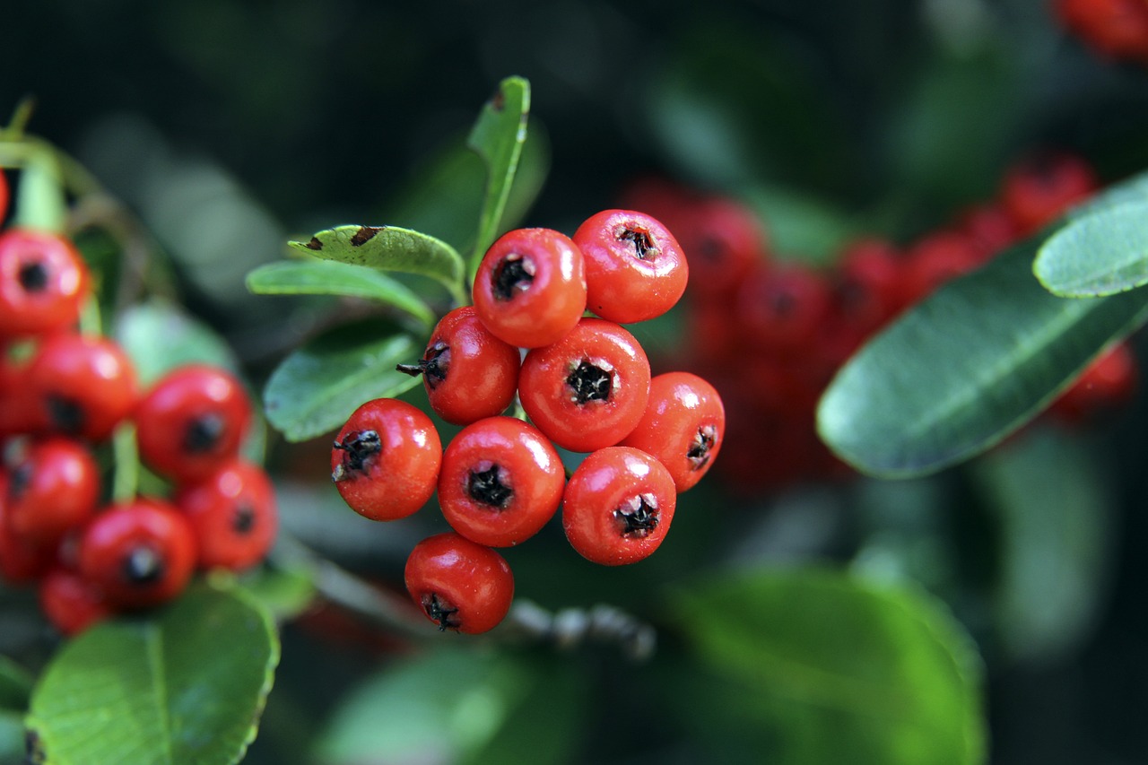 球探体育:阿瑙托维奇社媒晒模仿小图拉姆庆祝照:抱歉偷了你的庆祝动作.
