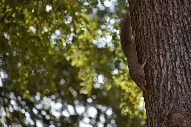 球探体育:王皓、马琳详解多哈世乒赛国乒选拔标准.